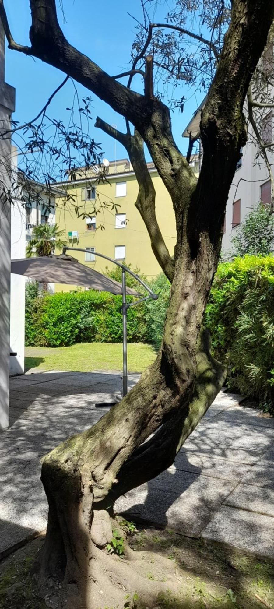 Villa Andrea เมสเตร ภายนอก รูปภาพ